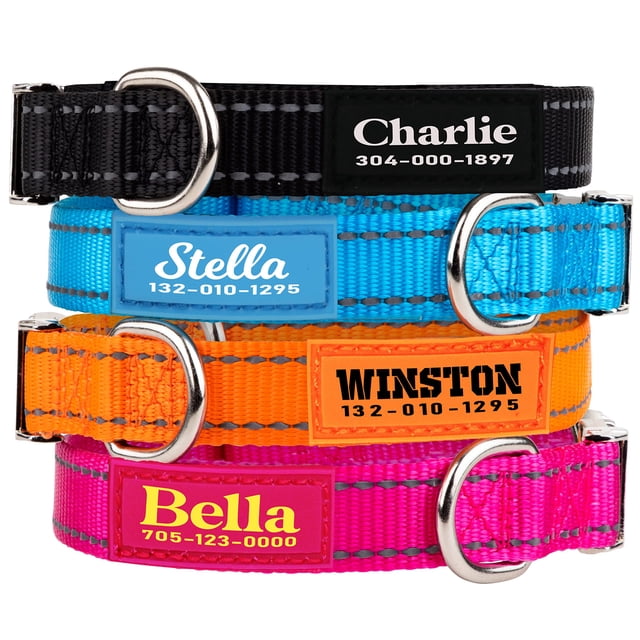 Collar para perro PAWBLEFY de nailon reflectante personalizado con nombre