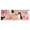 Bernese Mountain Dogs, variant on Bernese Mountain Dogs with Pioneer Flower Kitchen Rug Mat,Kitchen Runner Rugs Non Skid Washable,Decorative Kitchen Floor Mats for Kitchen,Sink,Laundry,17"X47"