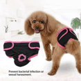 thumbnail image 4 of Dog Underwear Cotton Fabric Flexible Physiological Pants Puppy Female Pet, 4 of 4