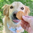 thumbnail image 3 of Farm To Pet Chicken Chips Crunchy Training Treats for Dogs, 4oz, 3 of 11
