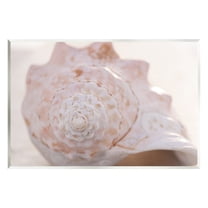 Stupell Beach Life Conch Shell Photography Landscape Photography Wall Plaque Unframed Art Print Wall Art