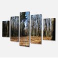 thumbnail image 2 of Forêt d'Automne en Lumière du Soleil et Ombres - Art Moderne sur Toile, 2 of 3