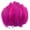 Hot Pink*100Pcs, variant on Natural Feathers, Small Bulk for DIY Crafts Hat Wedding Home Decoration Feathers for Crafting Crafts, Wedding, Family Party Decorations, Dream Catcher Supplies, Natural Feathers,100pcs,4.7"