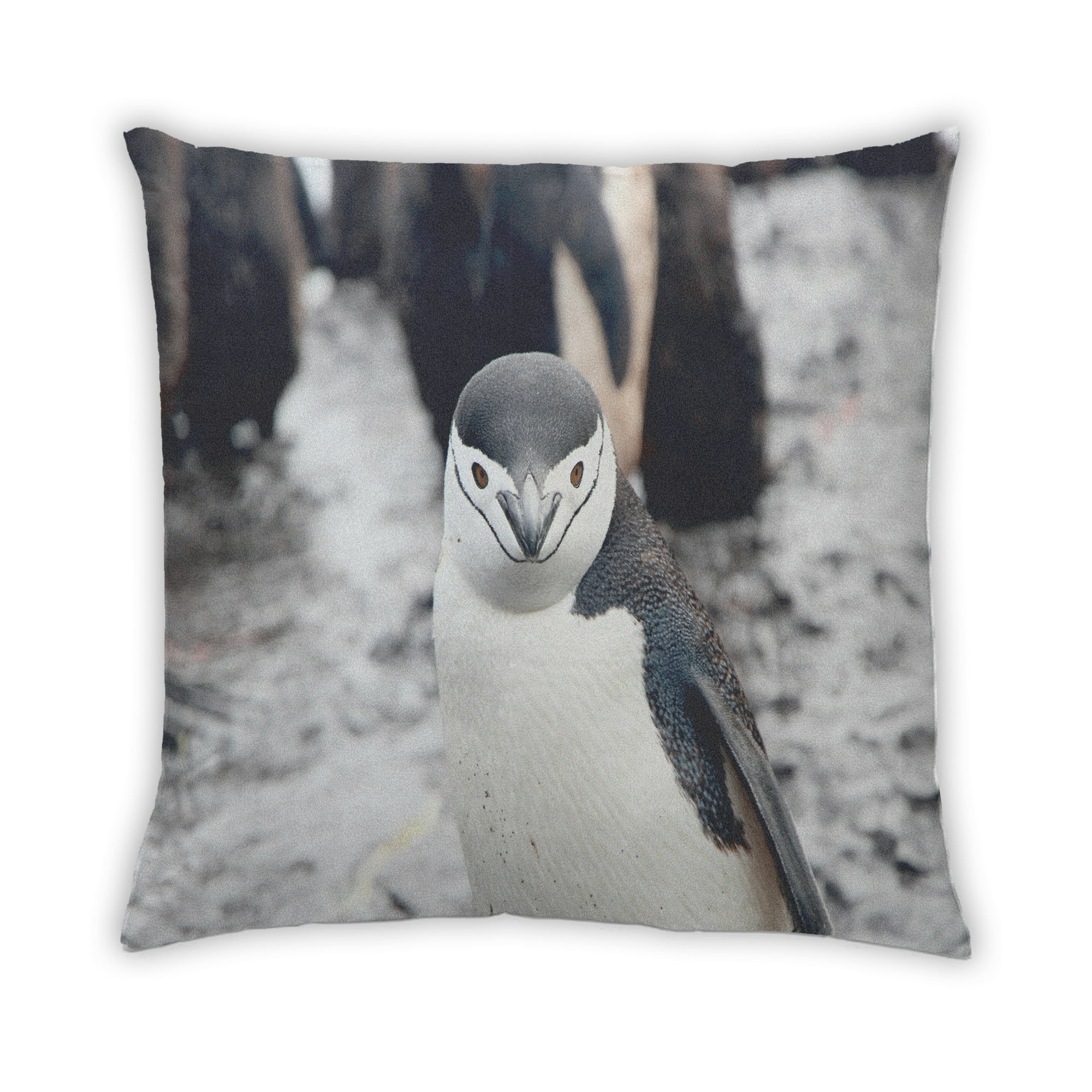 Ahgly Company Animals Penguin Indoor Throw Pillow 18 inch by 18 inch