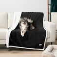 thumbnail image 3 of PetAmi Waterproof Dog Blanket for Medium Large Dog Puppy Cat Throw for Couch Cover Leakproof Protection, Sherpa Fleece, Reversible Soft Washable 60x40 Black, 3 of 9