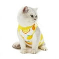 thumbnail image 4 of Chirurgie d'Été pour la Stérilisation des Chats après la Récupération pour Chats, 4 of 7
