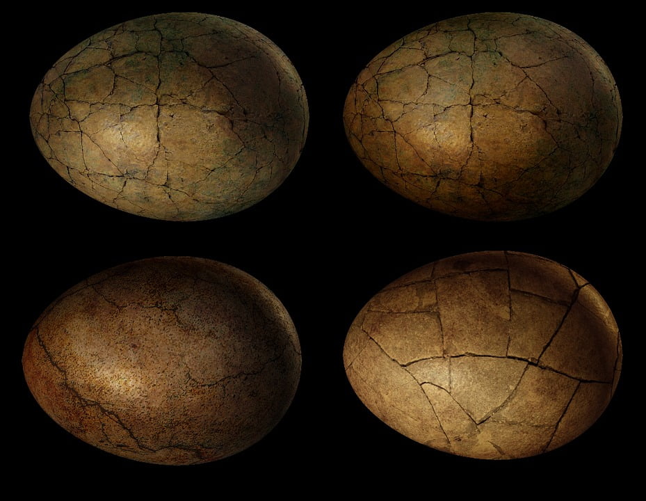 dragon city eggs colors dragon city eggs colors