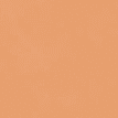 040 Caramel