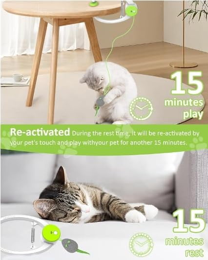 Interactive Cat Toys For Indoor Cats - Automatic Flying Bird Wand Chase Exercise Enrichment  Rechargeable Durable Safe Kitten & Adult Electric Hanging Bored