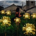 thumbnail image 1 of LED Solar Light Flower Arrangement Lamp Courtyard Decoration  2 Mode 90 Lights, 1 of 5