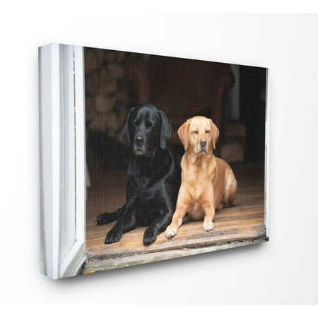 Stupell Industries Best Friends Dog Pet Animal Home Cabin Photo Super Canvas Wall Art by Villager (Best Animal Photos Ever)