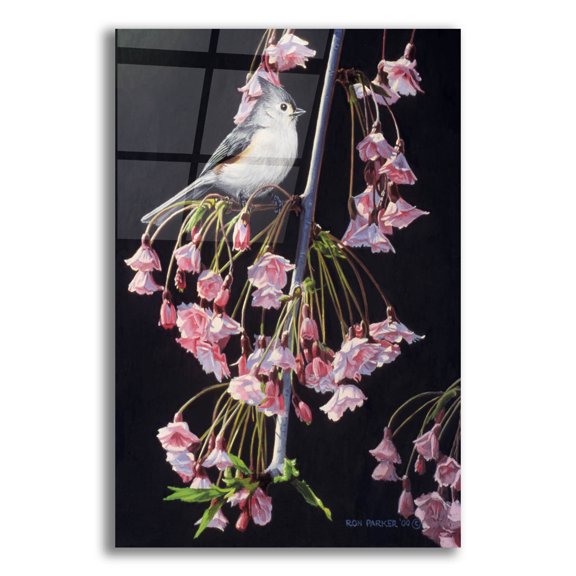 Epic Art 'Titmouse And Blossoms' by Ron Parker, Acrylic Glass Wall Art, 16"x24"