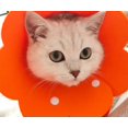 thumbnail image 4 of Collar de recuperación ajustable con forma de flor para gatos, juego de 2 unidades, 4 of 5