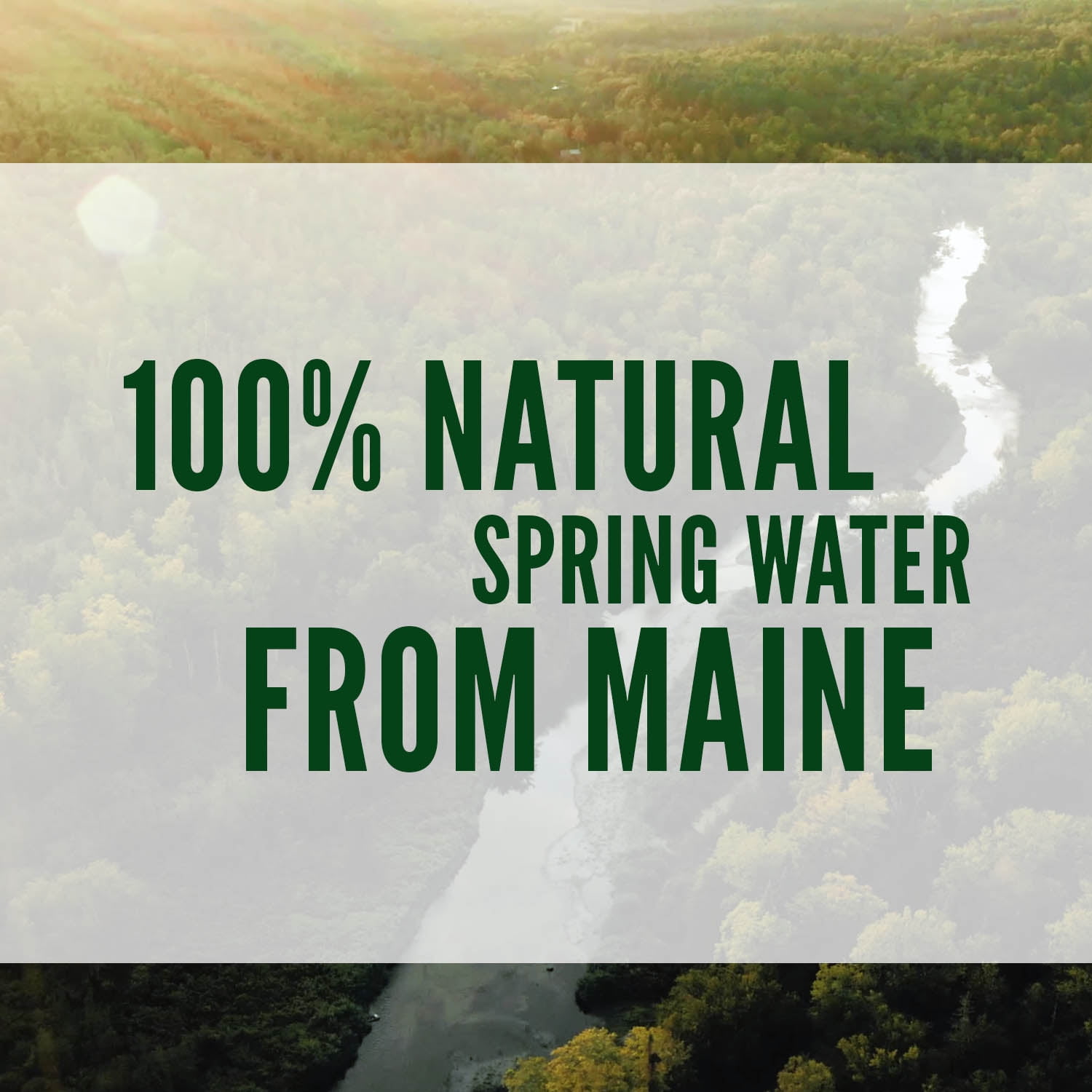 Poland Spring Maine Spring Water, 33.8 fl oz, 15 Pack Plastic Bottles