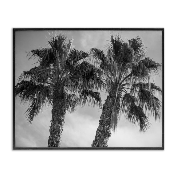 Stupell Industries Coastal Tall Tropical Palm Trees Black White Photography Black Framed Giclee Art, 14 x 11, by Aaron Matheson