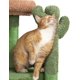 thumbnail image 3 of Wangone 42in Cat Tree Tower for Indoor Cats with Scratching Post & Condo, Multi-Level Cactus Cat Tower with Plush Perch, Basket & Toy Ball for Play & Rest-Green/Brown, 3 of 9
