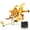 Gold, variant on Arashi (Version 2.0) Rearsets for Aprilia RSV4 R / FACTORY RSV4R 2009 2010 2011 2012 Motorcycle Accessories Adjustable Footrests Foot Pegs Rear Sets Gold