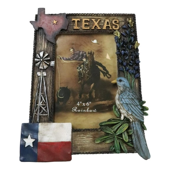 Rustic Western Patriotic Texas Mockingbird Windmill Bluebonnets Picture Frame