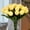 White, variant on 15-Piece LED Light-Up Real Touch Artificial Tulips – Faux Flower Lights with Timer, Battery Operated for Home Kitchen Wedding Table Decor