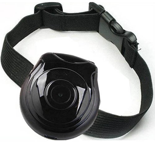 pet camera collar