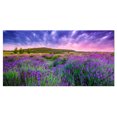 thumbnail image 2 of Summer Lavender Field in Tihany Modern, 2 of 3