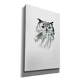 thumbnail image 2 of Epic Graffiti 'Eye of the Forest II' by Clean Nature, Giclee Canvas Wall Art, 40"x60", 2 of 8