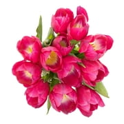 Mother's Day Large Tulips (Fresh Cut Flowers)