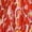 Red, variant on Women's sleeveless printed dress for beach vacation