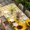 Yellow, variant on Spring Sunflowers Table Cloths for 6 Foot Rectangle Tables, Yellow White Plaid Farmhouse Rustic Patio Waterproof Elastic Fitted Tablecloths, Washable Rectangular Table Cover for Camping