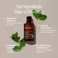 thumbnail image 2 of Cliganic USDA Organic Peppermint Essential Oil, 1oz - 100% Pure Natural Undiluted, for Aromatherapy | Non-GMO Verified, 2 of 8