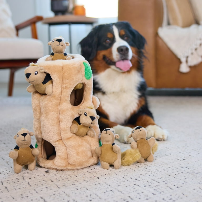 Outward Hound Hide-A-Squirrel Dog Toy ‚Äì Interactive Plush Puzzle