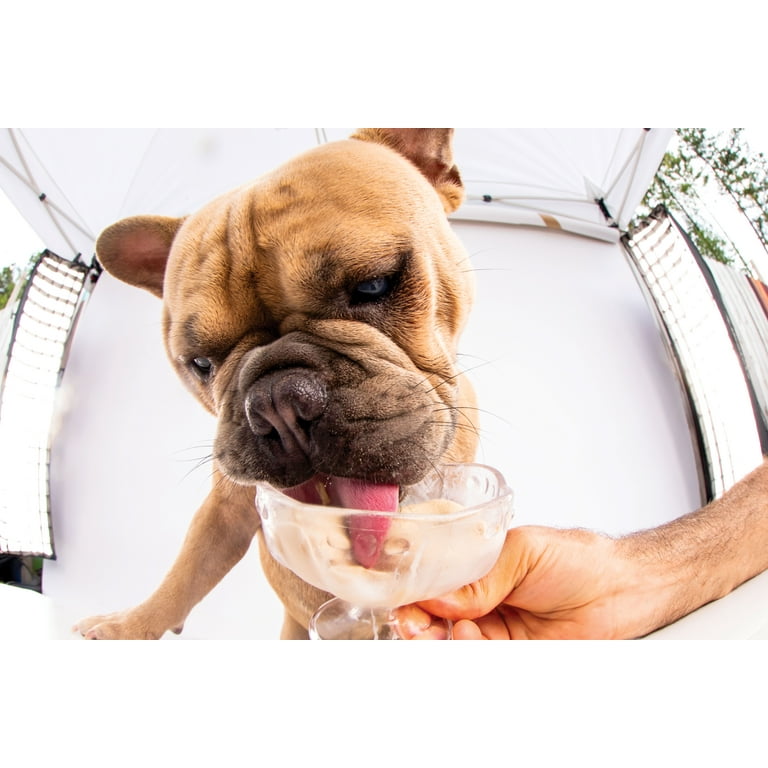 Dogsters Ice Cream Style Nutly Cheese Flavor Treats for Dogs 4 3.5 fl oz Cups