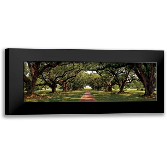 Jones, Mike 14x7 Black Modern Framed Museum Art Print Titled - Enchanted Oaks