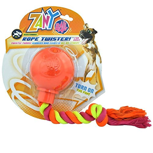 zany ball dog toy