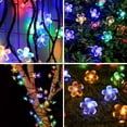 thumbnail image 5 of TiokMc Solar-Powered Fairy Blossom Flower String Lights, 22.96ft 50 LED, Multi-Color, Outdoor Garden, Patio, Lawn, Christmas Decoration - 2 Pack, 5 of 8