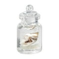 thumbnail image 2 of Elainilye Acrylic Drift Bottle Night Light, Conch Wishing Bottle Keychain, Portable Travel Pendant for Luggage, Gifts, or Bedroom Ambiance, 2 of 6