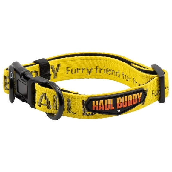 Small Breed Dog Collar w/ Soft Neoprene Padded, Buckle, & Double D-Ring - Adjustable Quick Release Collar for Male Female Puppy Dogs - 109C Yellow