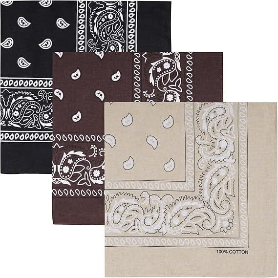 RUseeN 3 Pack 100% Polyester Large Bandanas for Men and Women, 22 Inch Paisley Bandana with Multiple Colors