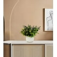 thumbnail image 4 of ENOVA FLORAL Potted Plants Artificial Decor, Artificial Eucalyptus Plants in White Ceramic Pots, Small Potted Fake Plants for Decorations, 4 of 6