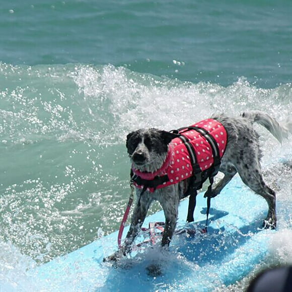 TIMIFIS Dog Life Jacket Large Small Dog High Buoyancy Reflective Stripes Adjustable Life Jacket Swimsuit Dog Life Vest - Fall