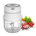 thumbnail image 1 of Electric Mini Garlic Chopper Food Slicer Portable Garlic Grinder Blender Food Processor For Pepper Chili Vegetable Nuts Meat 300ML USB Rechargeable, 1 of 7