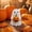 As Shown, variant on Cute Ghost Mini Ornaments Set for Halloween Tree, Resin Hanging Decorations for Home Party Favors