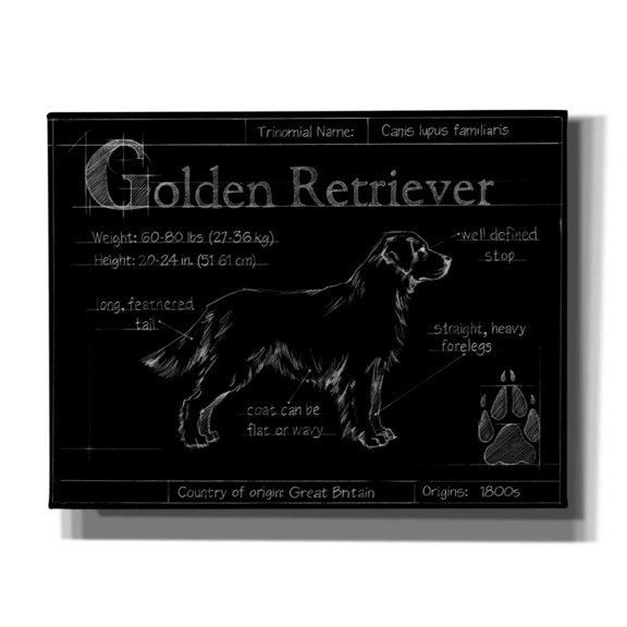 Epic Graffiti 'Blueprint Golden Retriever' by Ethan Harper, Canvas Wall Art, 34"x26"