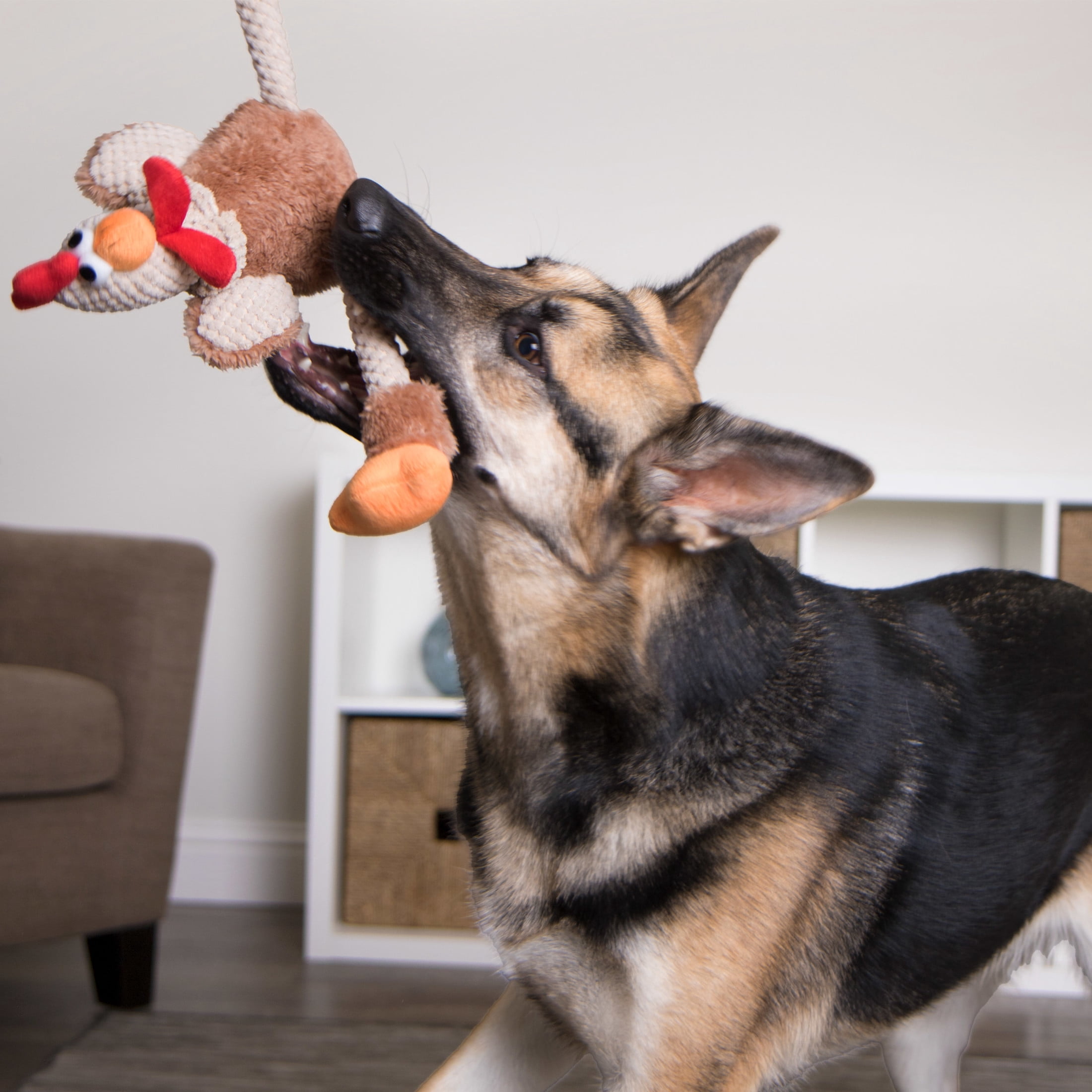 goDog Checkers Skinny Rooster Squeaky Plush Dog Toy, Chew Guard Technology - Brown, Large