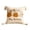 B, variant on Fall Harvest Throw Pillow Covers 18x18 Inch, Pumpkin Decorative Square Pillowcases, Farmhouse Holiday Cushion Covers for Sofa Living Room Home Fall Halloween Thanksgiving Decor