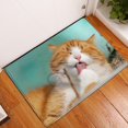 thumbnail image 1 of Cute pets Animal Pattern Anti Slip Suede Carpet Door Mat Outdoor Kitchen Living Room Floor Mat Carpet Home Decoration-week, 1 of 4