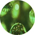 thumbnail image 1 of Ahgly Company Machine Washable Indoor Round Transitional Dark Forest Green Area Rugs, 3' Round, 1 of 7