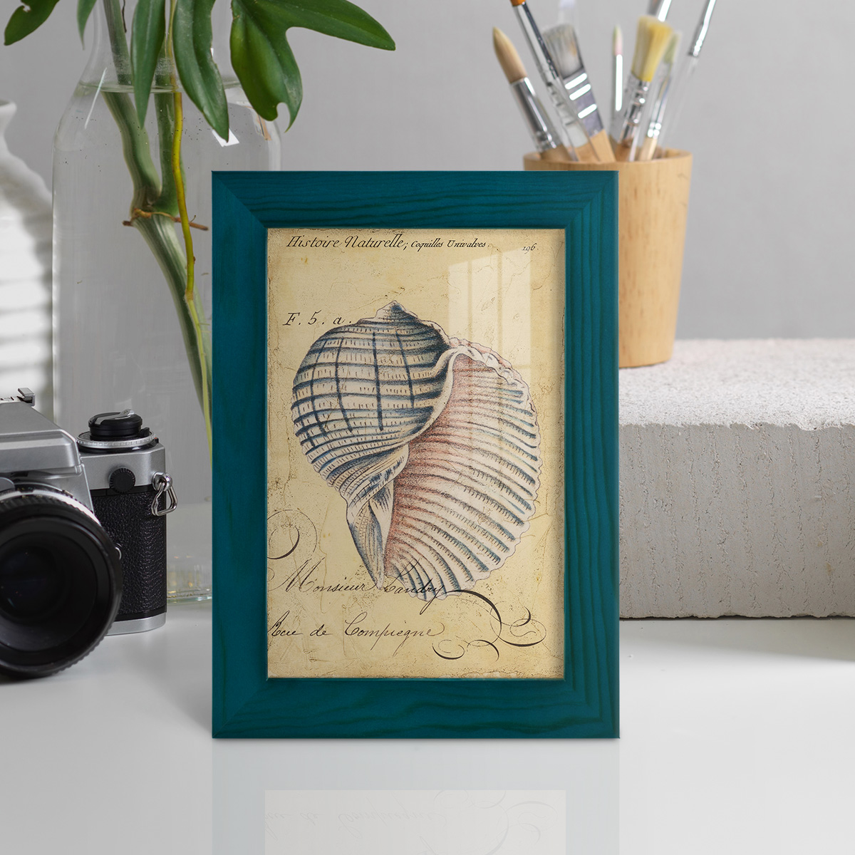 Seashell Ephemera V - Framed Print w/glass - Ocean Blue