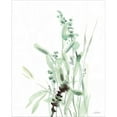 thumbnail image 2 of Great Art Now Grasses III by Katrina Pete, Framed Wall Art, 17W x 21H, 2 of 3