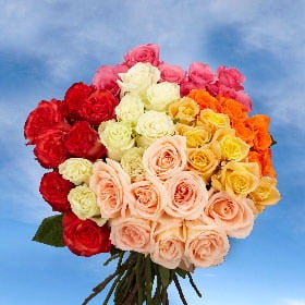 GlobalRose 250 Fresh Cut Assorted Color Roses - Fresh Flowers Wholesale Express